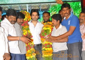 Sushanth Birthday Celebrations 2013 Photos  photo 6