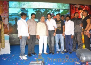 Sushanth Birthday Celebrations 2013 Photos  photo 33