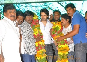 Sushanth Birthday Celebrations 2013 Photos  photo 4