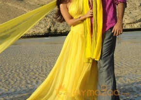 Tollywood Hit Pairs 2013 Photos  photo 18