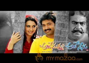 Ade Nuvvu Ade Nenu Wallpapers  photo 18