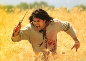 Anushka's Varna Movie Wallpapers  photo 7