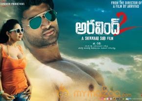 Aravind 2 Movie Hot Wallpapers   photo 4