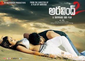 Aravind 2 Movie Hot Wallpapers   photo 3