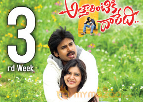 Attarintiki Daredi 3rd Week Wallpapers 