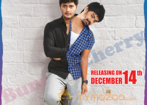 Bunny n Cherry Movie Wallpapers  photo 7