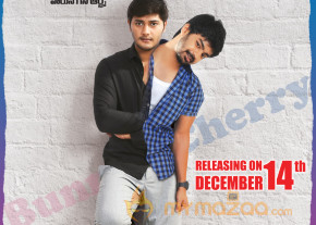 Bunny n Cherry Movie Wallpapers  photo 7