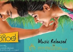 Chakkiligintha Movie Wallpapers 