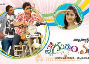 Emo Gurram Egaravachu Movie New Wallpapers  photo 13