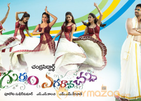 Emo Gurram Egaravachu Movie New Wallpapers  photo 4