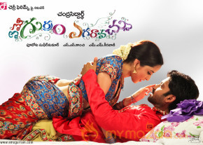Emo Gurram Egaravachu Movie New Wallpapers  photo 5
