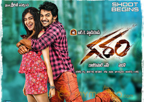 Garam Movie Wallpapers  photo 7