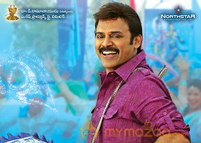 Gopala Gopala Movie Wallpapers  photo 14