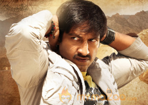 Gopichand's Sahasam Movie Wallpapers 