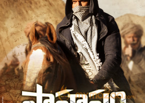 Gopichand's Sahasam Movie Wallpapers  photo 2