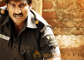 Gopichand's Sahasam Movie Wallpapers  photo 8