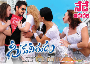Greeku Veerudu Movie Release Wallpapers  photo 10