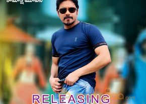 Greeku Veerudu Movie Release Wallpapers  photo 6