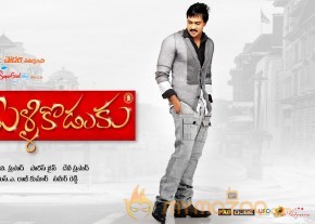 Mr.Pellikoduku Movie Wallpapers  photo 3
