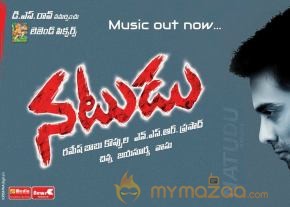 Natudu Movie Wallpapers  photo 8