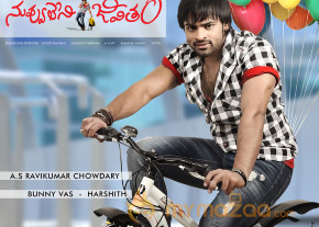Pilla Nuvvuleni Jeevitham Movie Wallpapers  photo 8