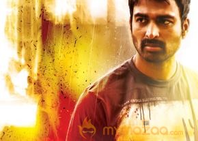 Ramudu Manchi Baludu Movie Posters  photo 18