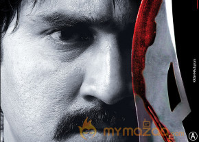 Satruvu Movie Wallpapers  photo 10