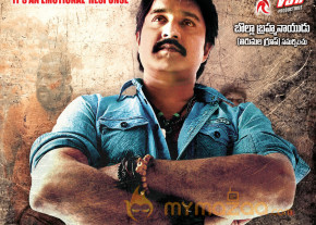 Satruvu Movie Wallpapers  photo 20