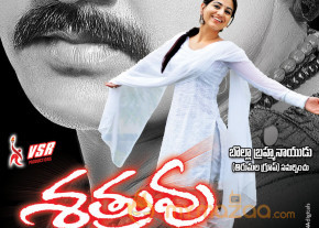 Satruvu Movie Wallpapers  photo 15