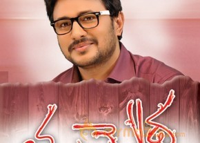 Tummeda Movie Wallpapers  photo 8