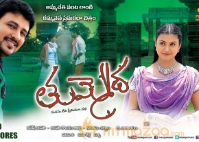 Tummeda Movie Wallpapers  photo 10