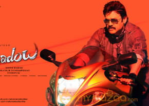 Venkatesh Shadow Movie New Wallpapers  photo 13