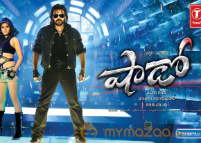 Venkatesh Shadow Movie New Wallpapers  photo 14