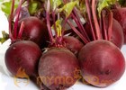 Beetroot juice may help lower blood pressure