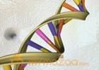 Gene therapy for deafness moves a few steps closer