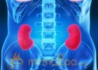 Poor kidney function gives early warning of heart disease 