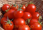 Tomato-rich diet found to lower risk of prostate cancer