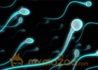 Utah sperm swap 'unacceptable' but still unexplained, docs say