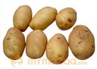 Healthier to Consume Raw Potatoes than Cooked One