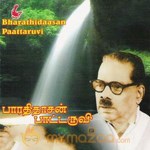 Bharathidaasan Paattaruvi