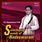 Scintilliating Sounds Of Nadaswaram