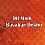 Dil Mein Basakar Dekho