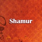 Shamur