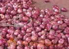 Onion prices soar, curbs imposed on exports 