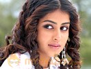 Genelia on song