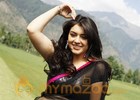 Hansika aiming High in Kollywood 