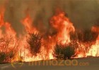 Fast-moving grass fire threatens homes in California, as crews continue to battle Yosemite blaze  