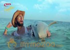 PETA criticises Ranveer Singh's shark ad