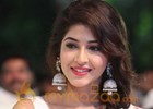 Sonarika Bhadoria role in Vishnu Manchu's film