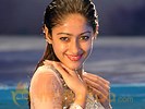 Ileana increases romance dose